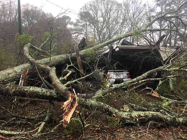 Umgestürzte Bäume nahe der Stadt Baxley im Süden von Georgia.