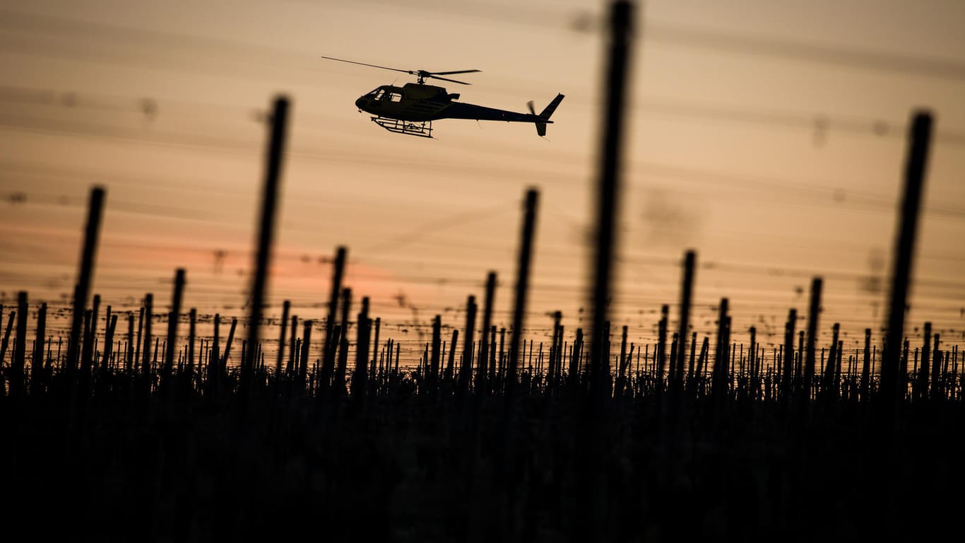 Hubschrauber im Einsatz gegen Spätfrost im Weinbaugebiet in Obersulm (Baden-Württemberg)