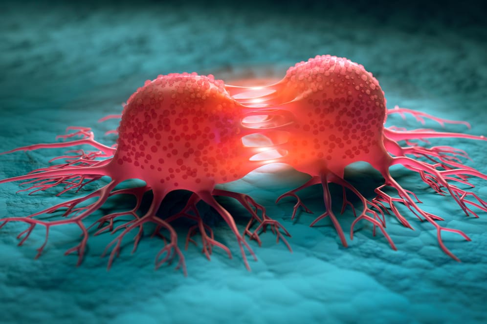 Krebs kann entstehen, wenn Körperzellen mutieren und sich übermäßig vermehren.