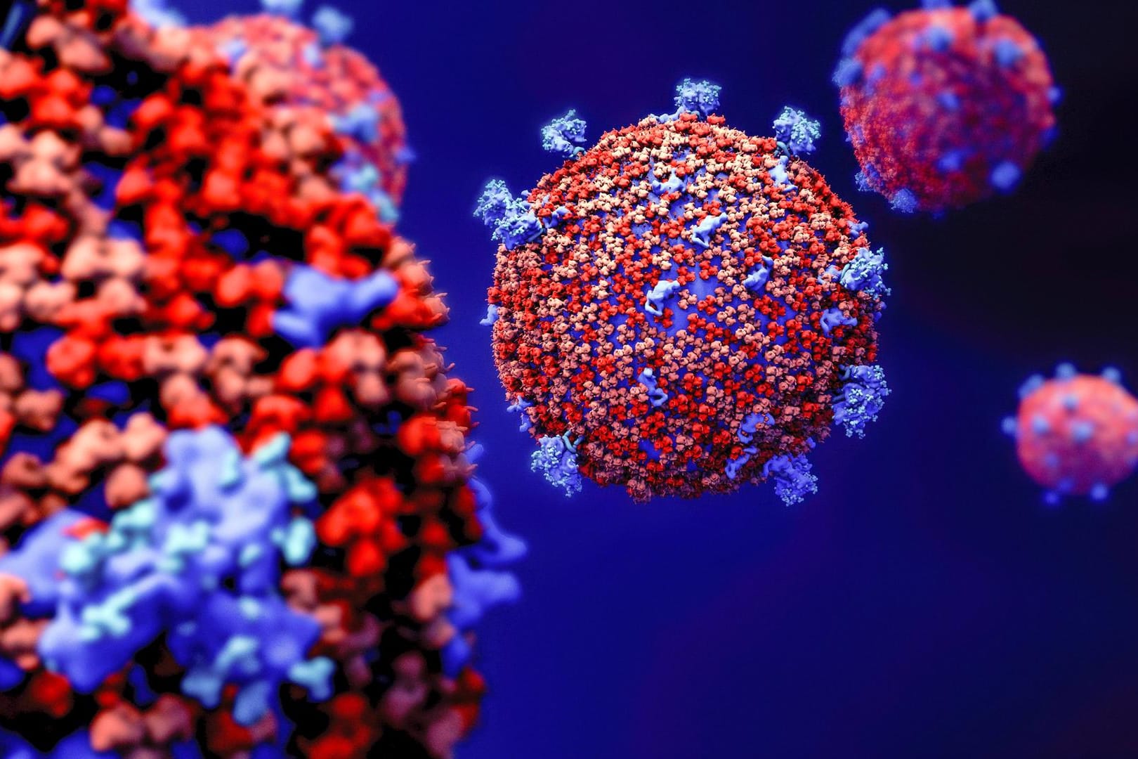 Illustration des Coronavirus (Symbolbild): Die Inzidenz zeigt seit fast drei Wochen einen sinkenden Trend.