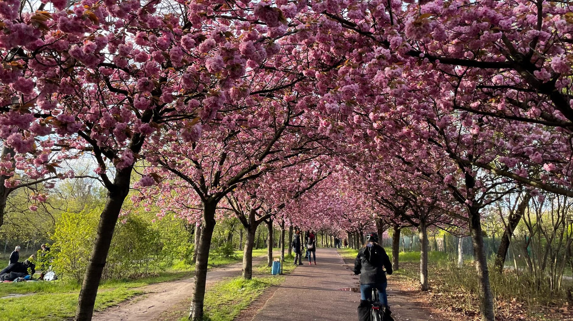 Frühling überall: Bloß kein Übermut!