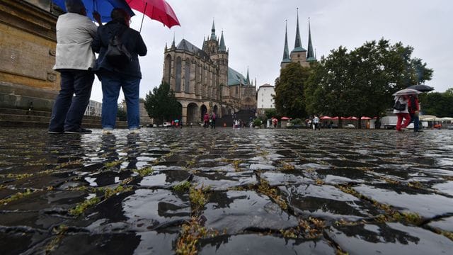 Glockenwartung der Gloriosa im Erfurter Dom