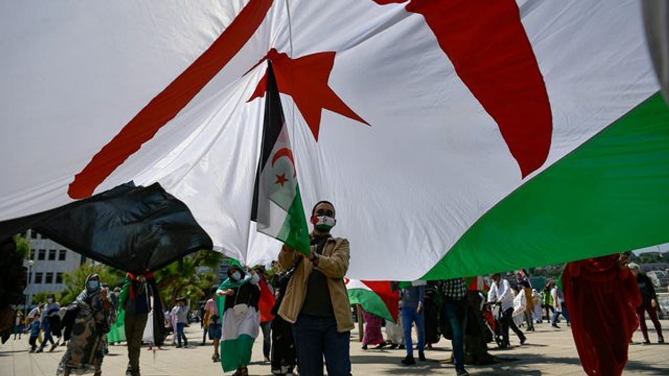 Ein saharischer Demonstrant hält eine Fahne der Republik Sahara.