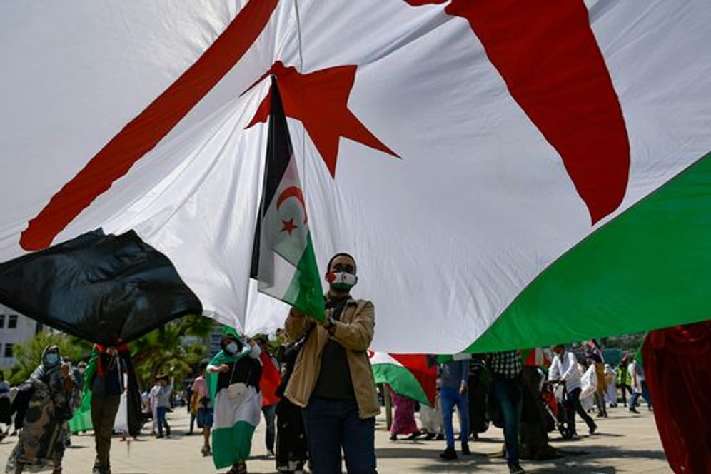 Ein saharischer Demonstrant hält eine Fahne der Republik Sahara.