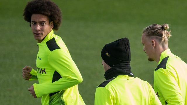 Axel Witsel (l) soll von Juventus umworben sein.