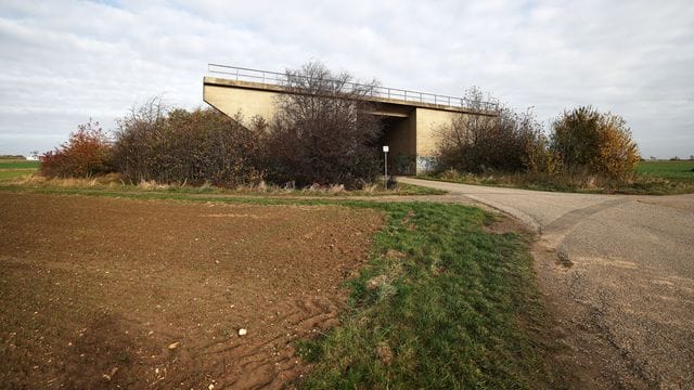 Eine ungenutzte Brücke für eine nicht fertiggestellte Straße steht am Rande eines Feldes in Euskirchen - von Bäumen umwachsen. Eine ungenutzte Brücke für eine nicht fertiggestellte Straße steht am Rande eines Feldes in Euskirchen - von Bäumen umwachsen.