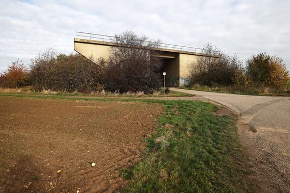 Eine ungenutzte Brücke für eine nicht fertiggestellte Straße steht am Rande eines Feldes in Euskirchen - von Bäumen umwachsen.