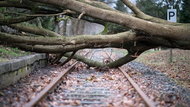 Extremwetter-Ereignisse verursachen oft großen Schaden.