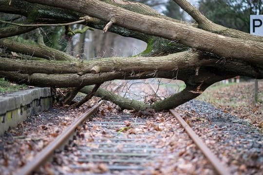 Extremwetter-Ereignisse verursachen oft großen Schaden.