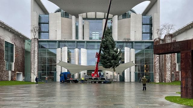 Es wird weihnachtlich: Mit Hilfe eines Tiefladers wird eine Colorado-Tanne am Bundeskanzleramt aufgestellt. Es wird weihnachtlich: Mit Hilfe eines Tiefladers wird eine Colorado-Tanne am Bundeskanzleramt aufgestellt.