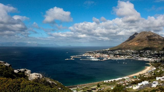 Innerhalb von drei Monaten wurden in Südafrika mehr als 6000 Menschen ermordet. Innerhalb von drei Monaten wurden in Südafrika mehr als 6000 Menschen ermordet.