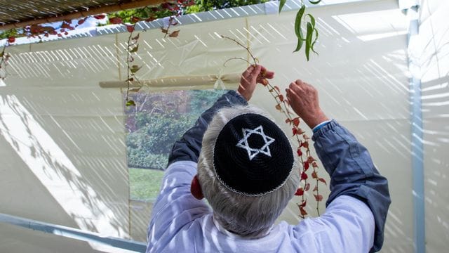 Mitglieder der jüdischen Gemeinde in Schwerin schmücken die traditionelle Laubhütte mit Zweigen und Früchten.