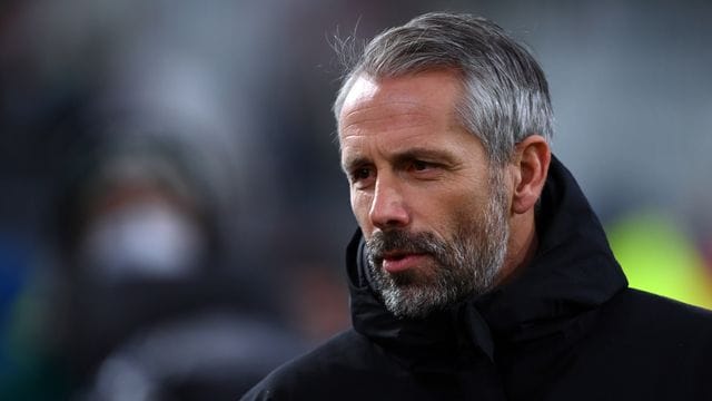 Genießt trotz des Königsklassen-Aus einen hohen Stellenwert bei Borussia Dortmund: BVB-Coach Marco Rose. Genießt trotz des Königsklassen-Aus einen hohen Stellenwert bei Borussia Dortmund: BVB-Coach Marco Rose.