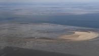 Naturschutz: Ökosystem des Wattenmeers durch den Klimawandel bedroht