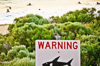 Ein Schild an einem australischen Strand warnt vor Haien (Symbolbild).