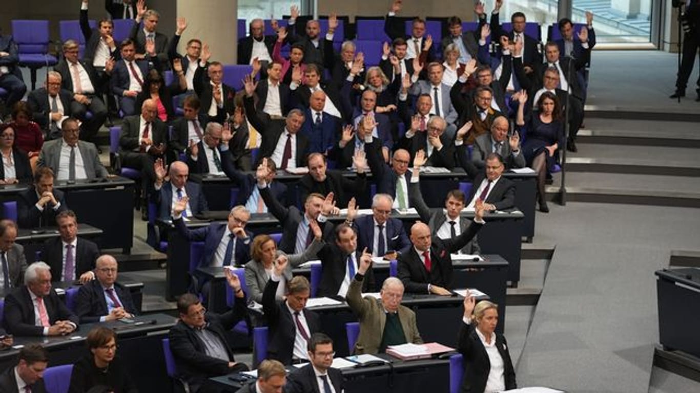 AfD-Abgeordnete im Bundestag.
