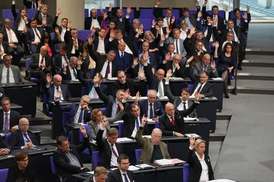 AfD-Abgeordnete im Bundestag.