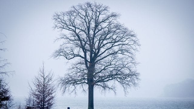 Winterwetter in Norddeutschland