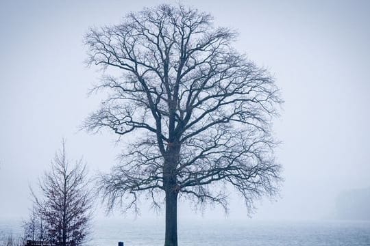 Winterwetter in Norddeutschland