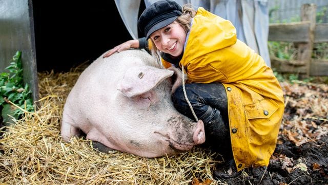 Landwirtin Maren Osterbuhr neben dem ehemaligen Mastschwein Rosalie auf ihrem Hof. Landwirtin Maren Osterbuhr neben dem ehemaligen Mastschwein Rosalie auf ihrem Hof.