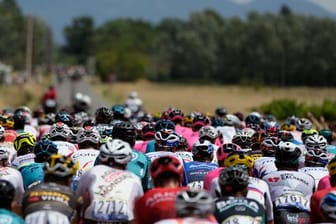 Das Fahrerfeld bei der diesjährigen Tour de France in Aktion.