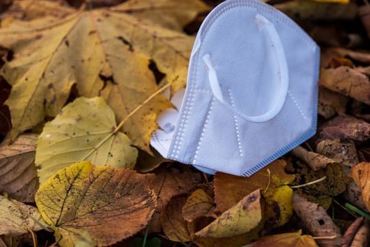 Eine Mund-Nasen-Bedeckung liegt im herbstlichen Laub im Englischen Garten in München.