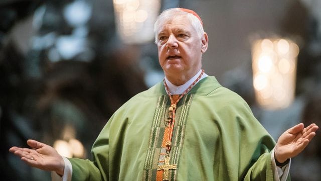 Kardinal Gerhard Ludwig Müller im Sommer 2017 im Mainzer Dom.