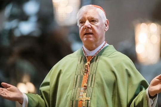 Steht wegen seiner Aussagen massiv in der Kritik: Kardinal Gerhard Ludwig Müller.