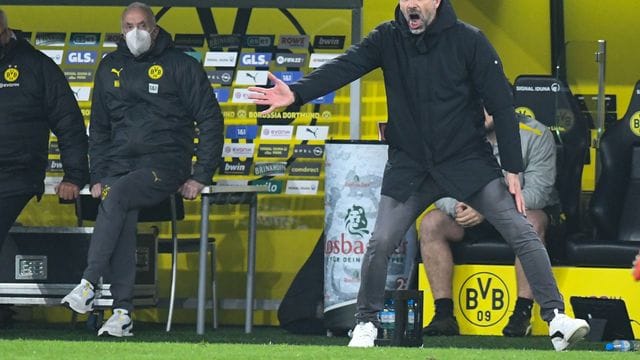 Sieht den Zoff mit Experte Didi Hamann als abgehakt an: Dortmunds Trainer Marco Rose. Sieht den Zoff mit Experte Didi Hamann als abgehakt an: Dortmunds Trainer Marco Rose.