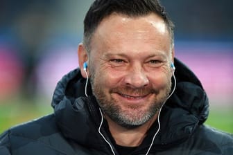 Trainer Pal Dardai wird mit Ferencvaros Budapest in Verbindung gebracht.