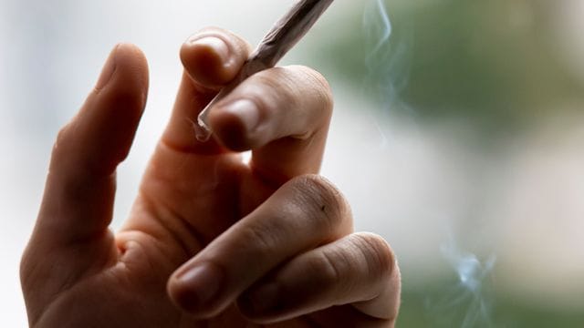 Cannabis ist die am häufigsten konsumierte illegale Droge in Deutschland. Cannabis ist die am häufigsten konsumierte illegale Droge in Deutschland.
