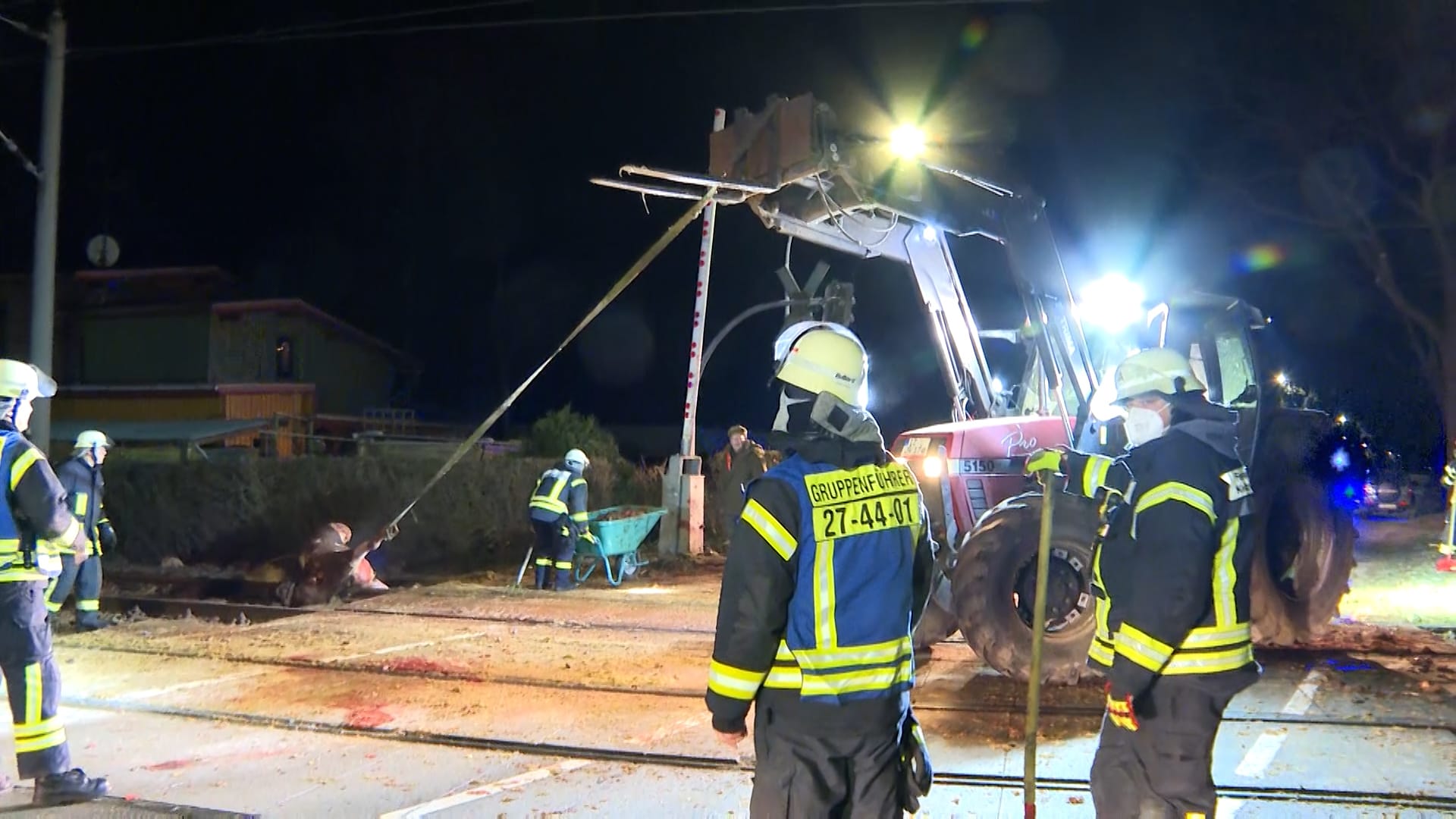 Ein Tier wird mit einem Traktor abtransportiert: Die Feuerwehr war vor Ort, um die Unfallstelle zu sichern. Ein Tier wird mit einem Traktor abtransportiert: Die Feuerwehr war vor Ort, um die Unfallstelle zu sichern.