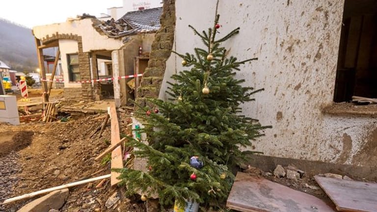 Ein Weihnachtsbaum steht vor einem von der Flut zerstörten Haus in Mayschoß.