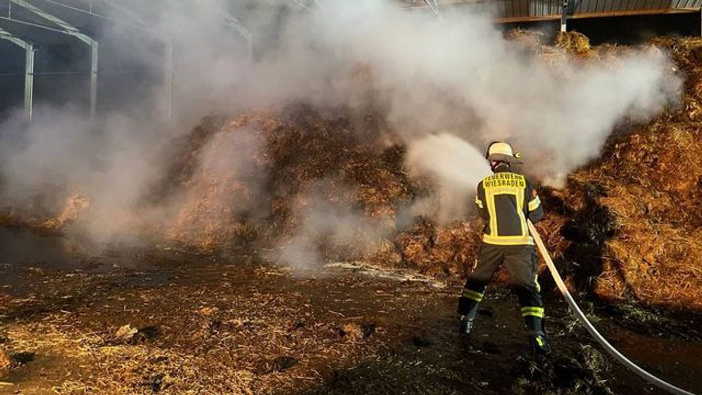 Die Feuerwehr löscht den rund 2500 Kubikmeter großen brennenden Misthaufen.