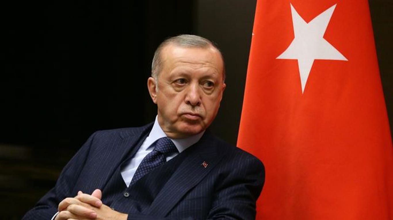 Der wirtschaftspolitische Kurs von Präsident Erdogan ist stark umstritten.