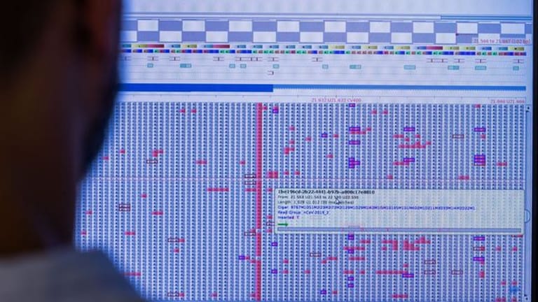 An einem Computermonitor wird in einem Sequenzierlabor nach neuen Varianten und Mutationen des Coronavirus gesucht.