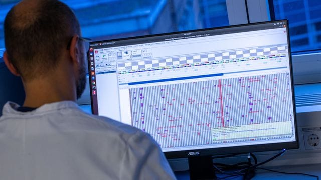 Coronaviren verändern sich ständig und müssen durch aufwendige Genanalysen beobachtet werden.