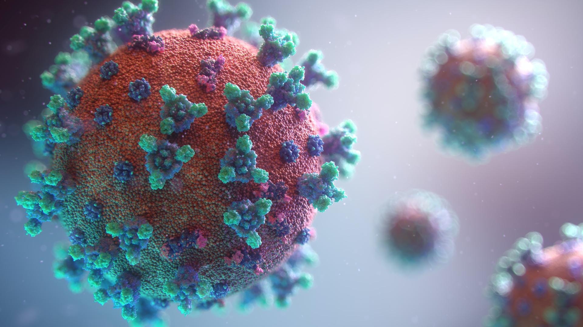 Visualisierung des Coronavirus (Symbolbild): Die Stadt vermeldet immer weniger Fälle von Klinikeinweisungen wegen oder mit Corona.