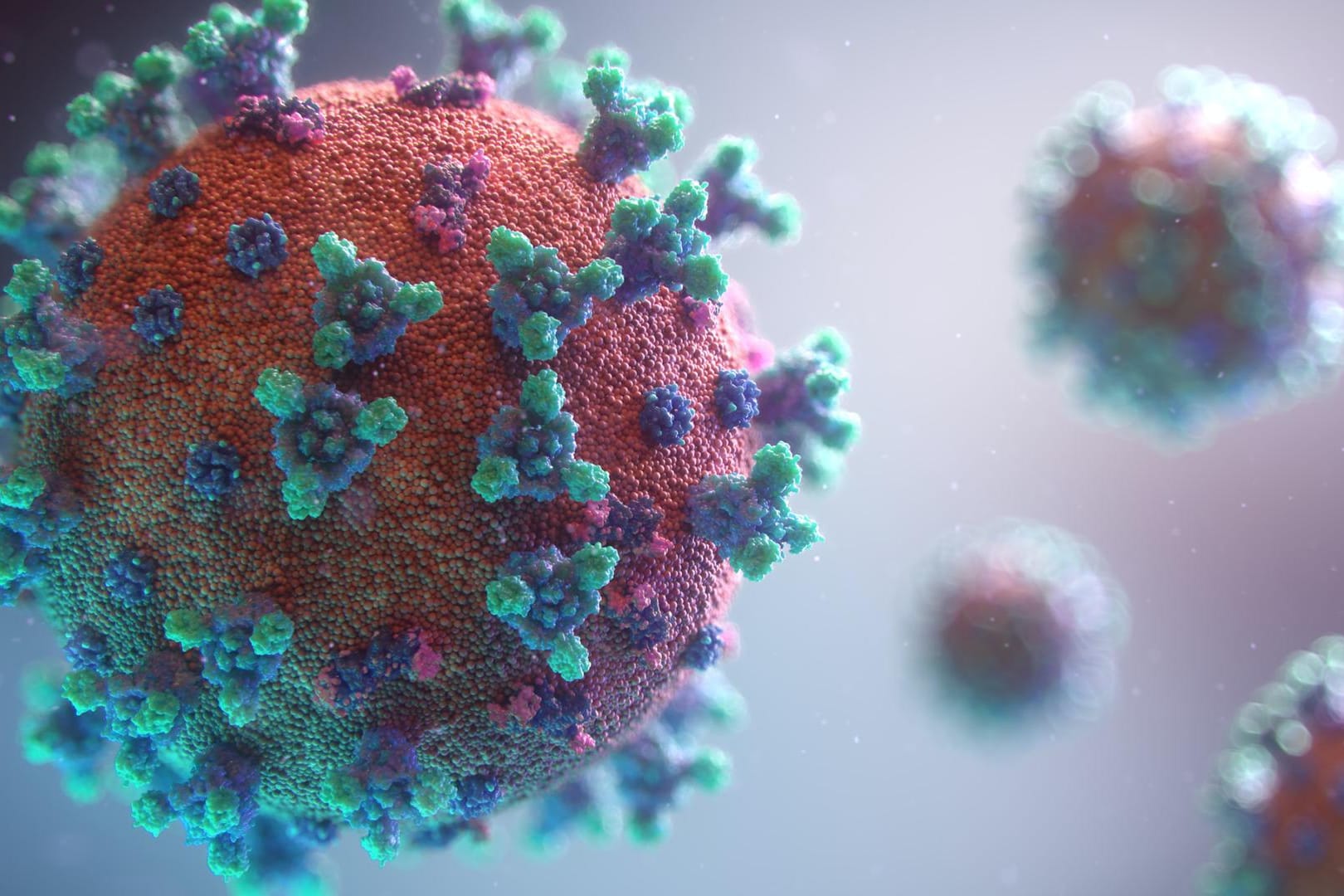 Visualisierung des Coronavirus (Symbolbild): Die Stadt vermeldet immer weniger Fälle von Klinikeinweisungen wegen oder mit Corona.