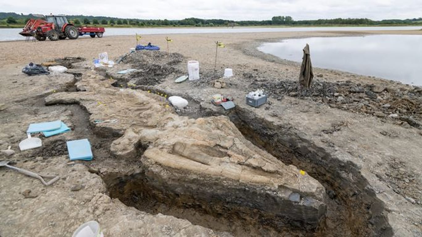 Paläontologen bei der Arbeit an dem Ichthyosaurier-Skelett, das im Rutland Nature Reserve gefunden wurde.