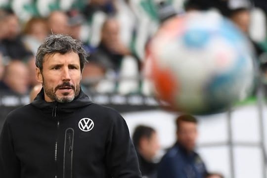 Mark van Bommel hatte zuletzt den VfL Wolfsburg trainiert.