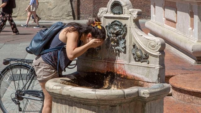 Das vergangene Jahr war das siebte Jahr in Folge mit Temperaturen, die mehr als ein Grad über dem vorindustriellen Niveau lagen. Das vergangene Jahr war das siebte Jahr in Folge mit Temperaturen, die mehr als ein Grad über dem vorindustriellen Niveau lagen.