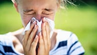 Heuschnupfen: Diese Hausmittel helfen wirklich gegen die Allergie