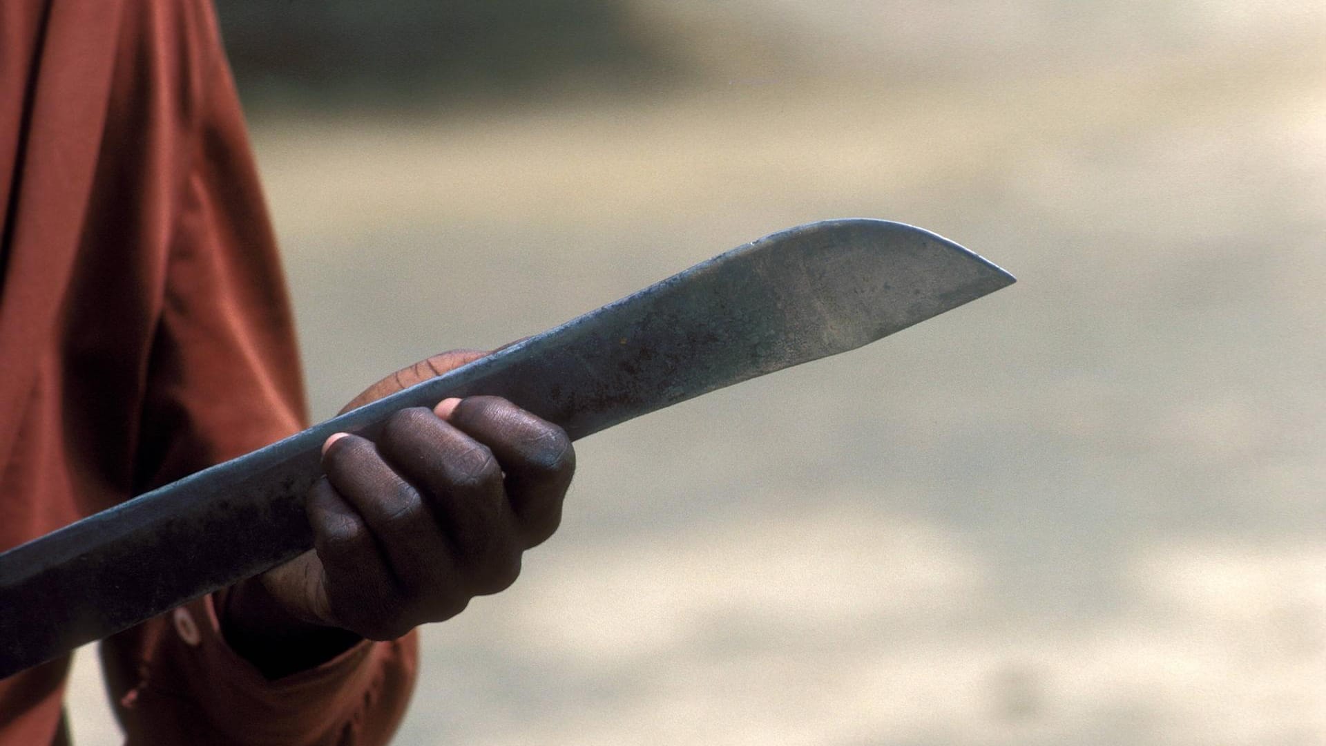 Klinge einer Machete: Mit dieser Waffe haben Rebellen in Kongo mindestens 40 Zivilisten umgebracht.