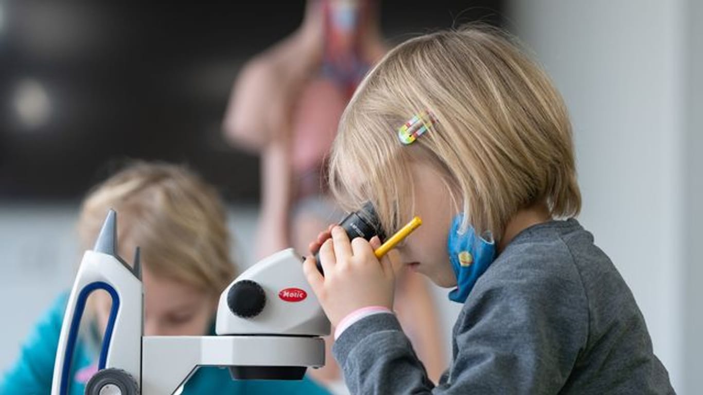 Grundschüler der Universitätsschule Dresden arbeiten während einer Projektwoche zum Thema Naturkunde an Mikroskopen.