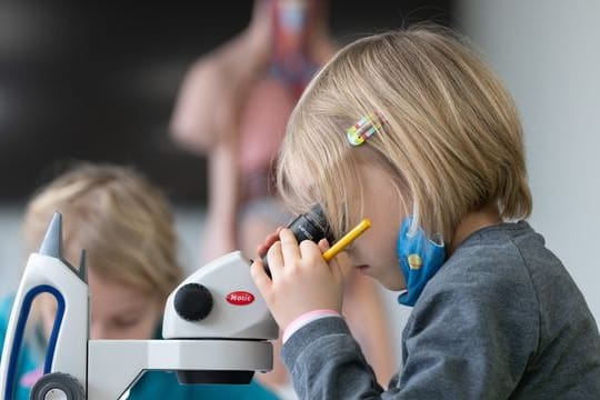 Grundschüler der Universitätsschule Dresden arbeiten während einer Projektwoche zum Thema Naturkunde an Mikroskopen.