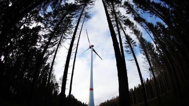 Windrad im Wald