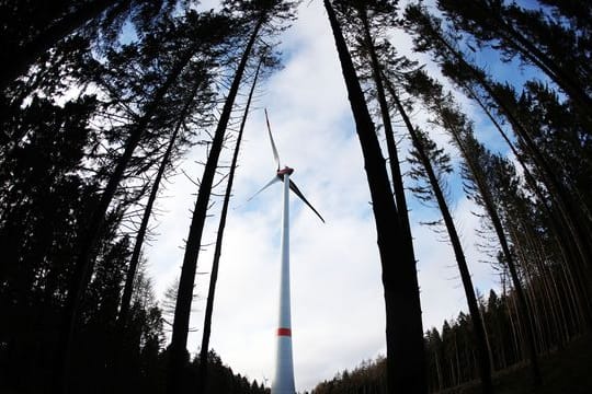 Windrad im Wald