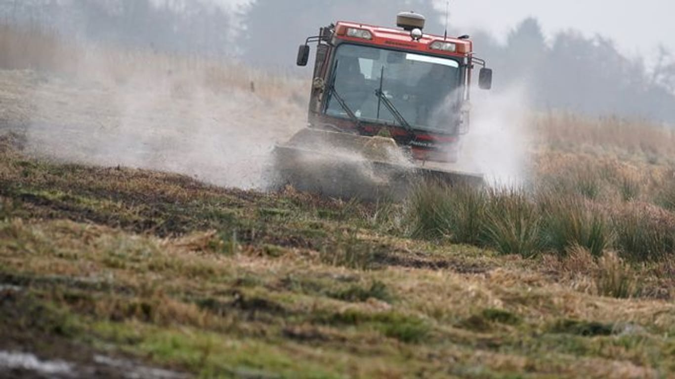 Pistenraupe mäht Wiese für Wiesenvögel