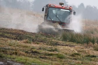 Pistenraupe mäht Wiese für Wiesenvögel